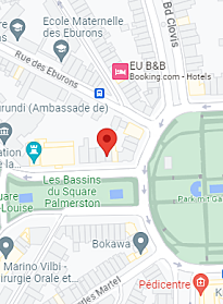 Google Maps Brüssel Ansicht